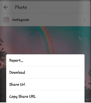sdef Instagram Plus APK v294 Download (Extra Features)
