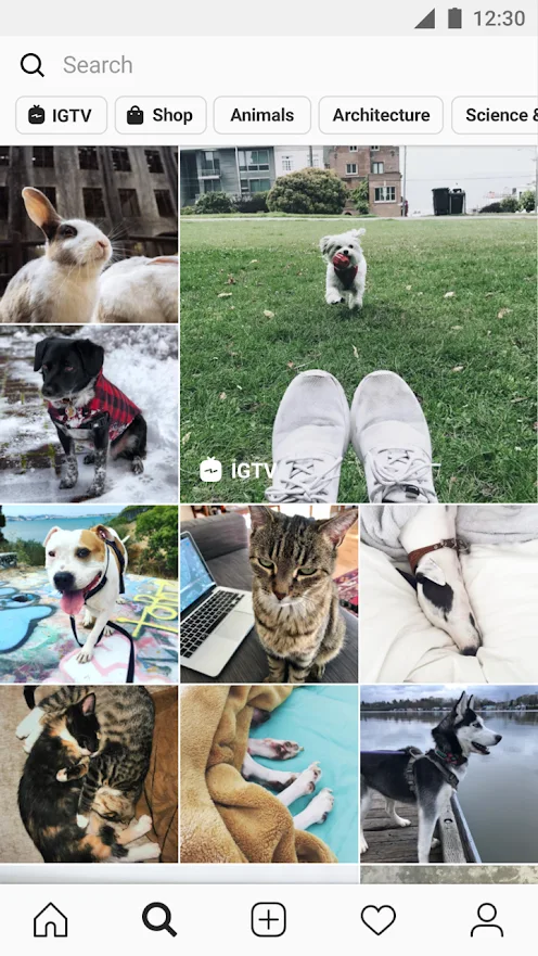 INSTAGRAM Mod Apk