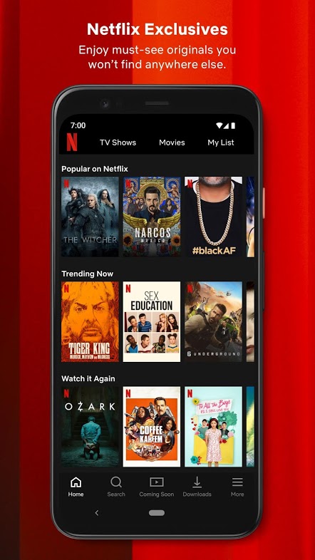 Netflix Apk