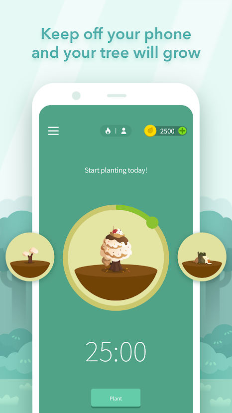 Forest Stay focused Mod Apk