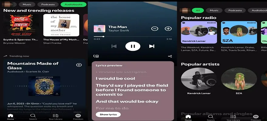 Spotify Mod APK